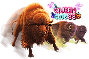queenclub88-banner3